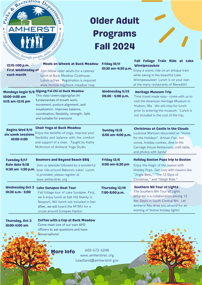 Older Adults Fall Programs 2024